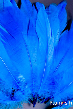 Oie - 11-15 cm - turquoise